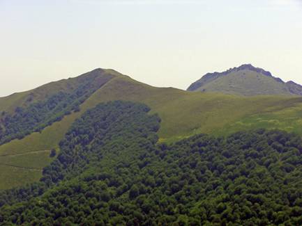 HORREO DE IRATZETA.jpg